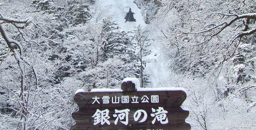 北海道層雲峽冰瀑祭 銀河 流星瀑布 北極熊 戲雪樂園 溫泉帝王蟹四日遊關團 Eztravel易遊網